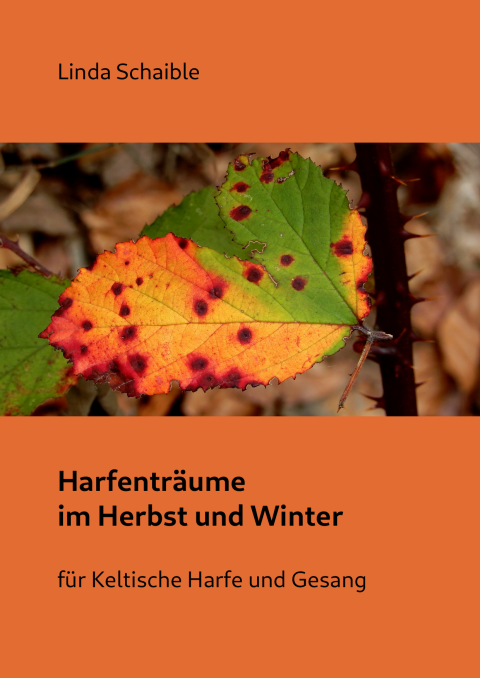 Deckblatt Notenheft ‘Harfenträume im Herbst und Winter’